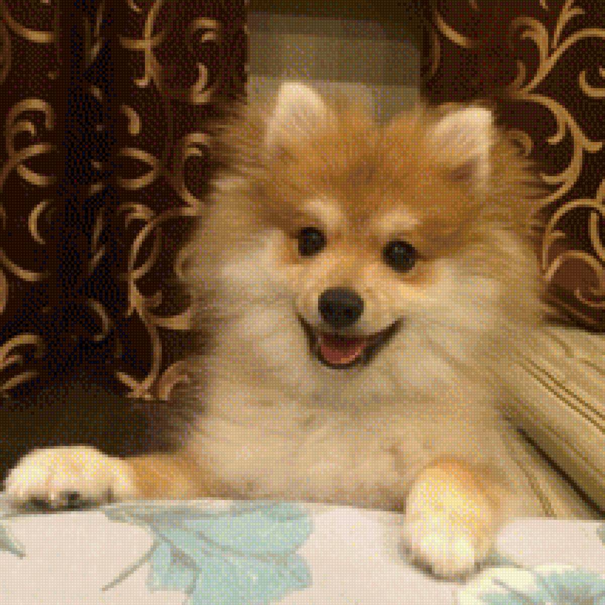 Тимоша - предпросмотр