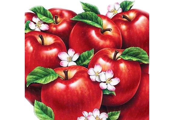 Яблоки - фрукты - оригинал