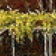 Предпросмотр схемы вышивки «солнечная осень» (№1705878)