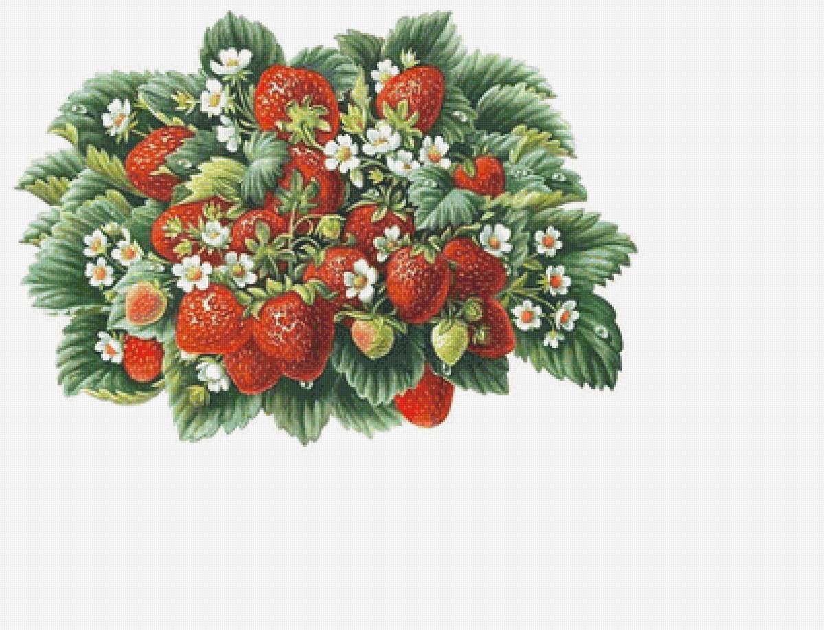 №1705891 - предпросмотр