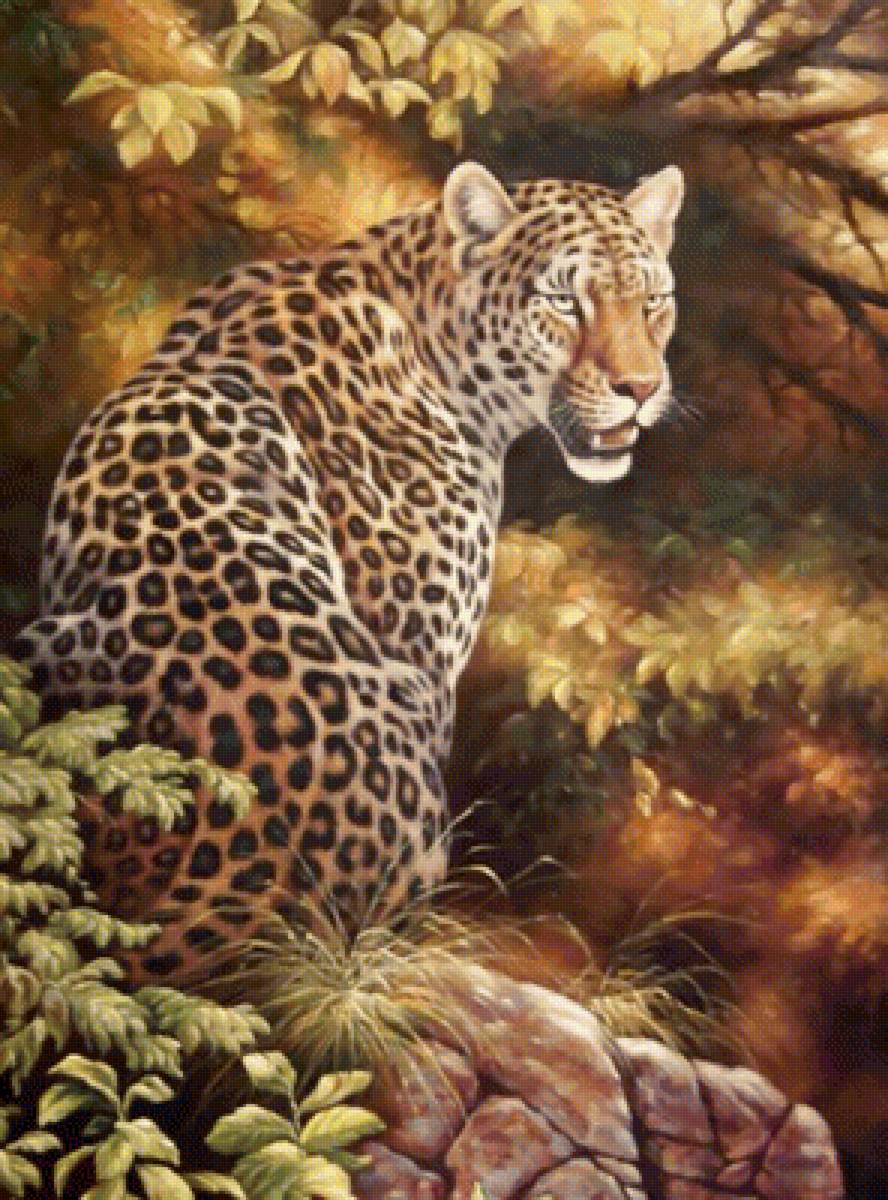 №1706228 - дикие животные - предпросмотр