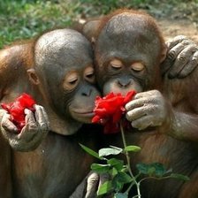 Схема вышивки «Вот это любовь!»