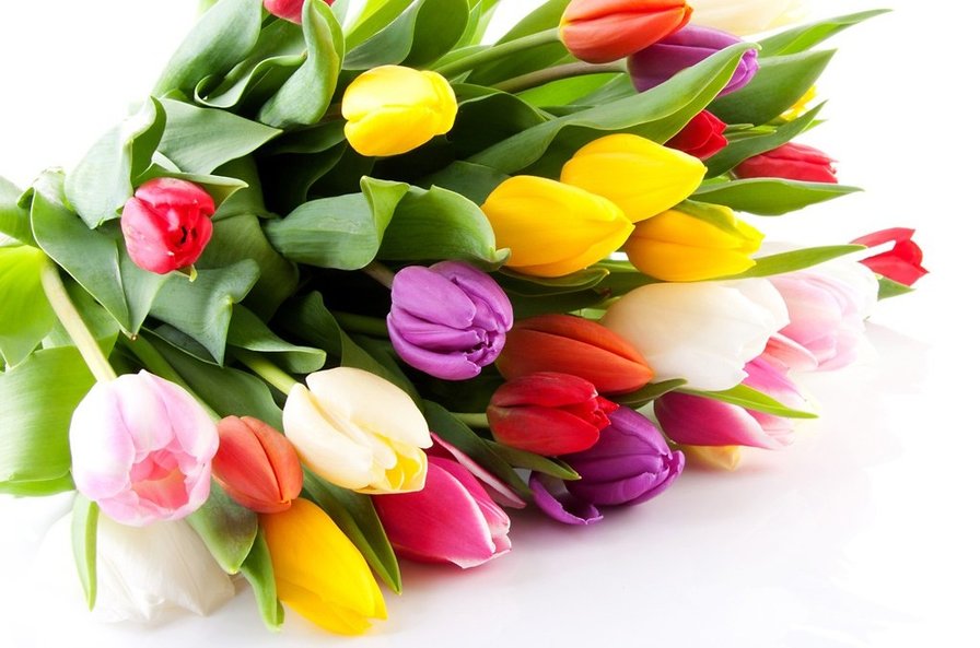 букет тюльпанов - оригинал
