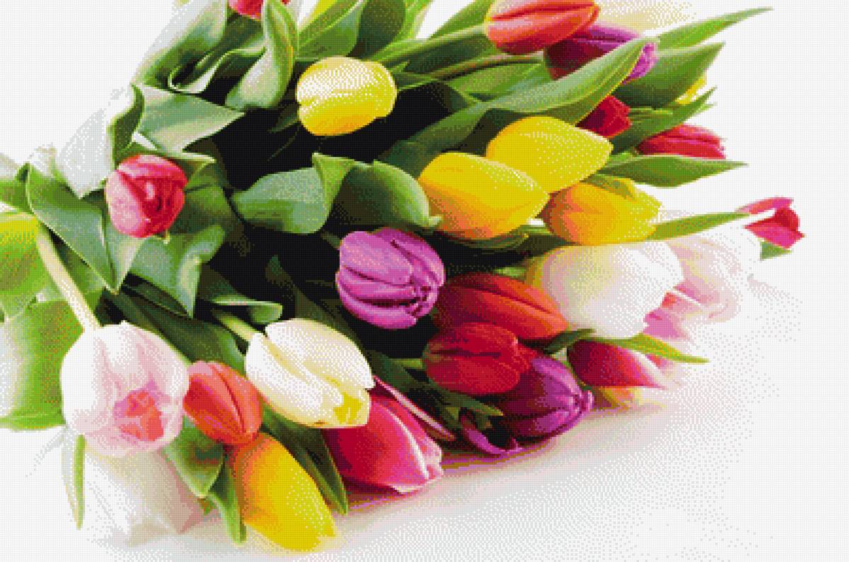 букет тюльпанов - предпросмотр