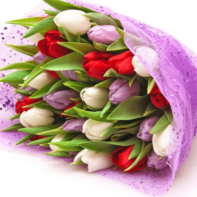 букет тюльпанов - оригинал