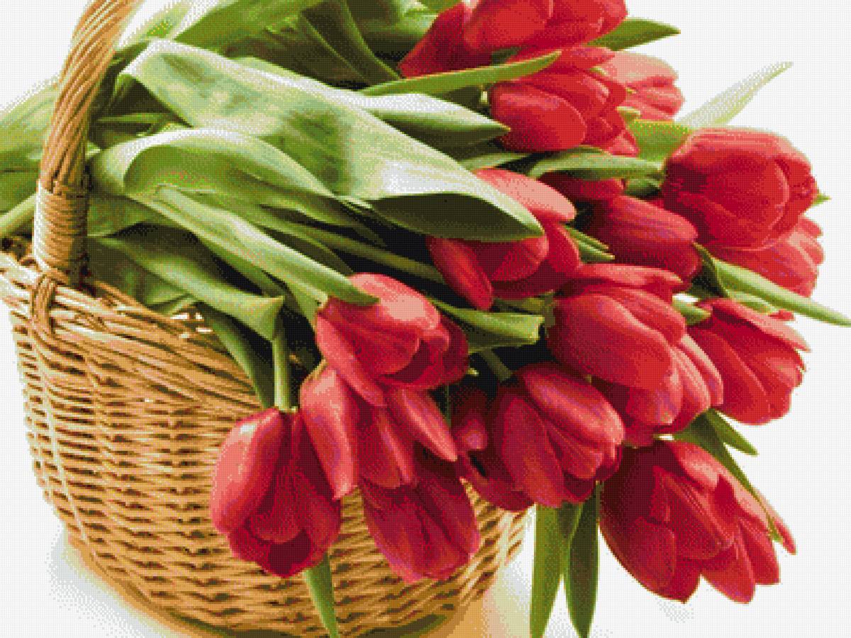 букет тюльпанов - предпросмотр