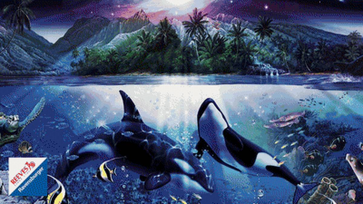 морские жители - предпросмотр