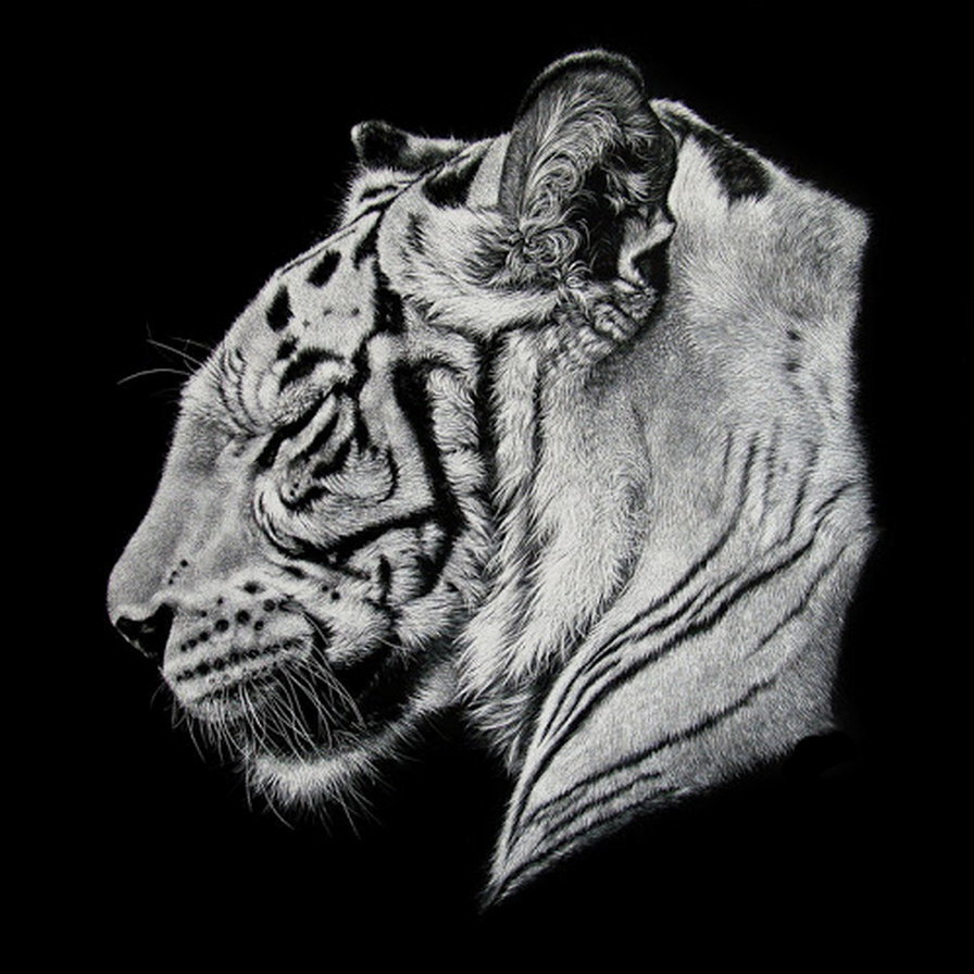 белый тигр 1 - оригинал