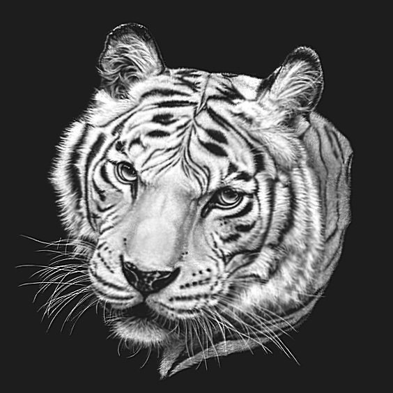 белый тигр 3 - оригинал