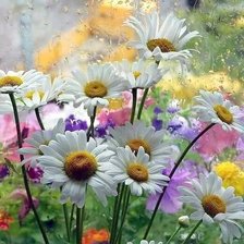 Схема вышивки «flowers»