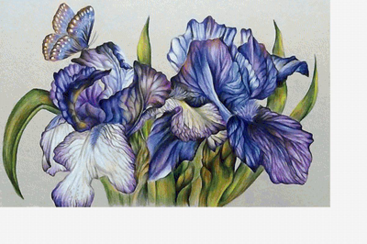 №1706894 - предпросмотр