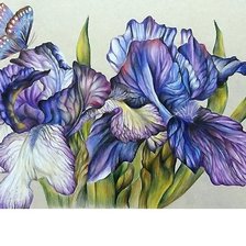 Схема вышивки «№1706894»