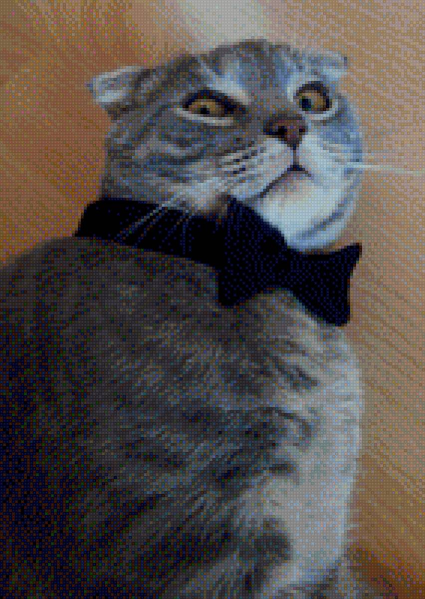 кот муркот - предпросмотр