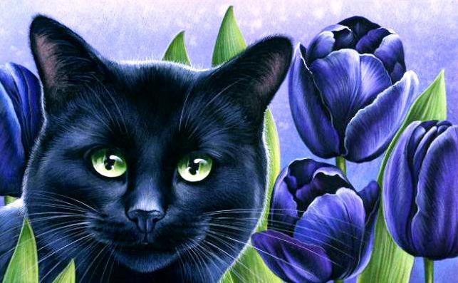 №1706951 - кот, кошка - оригинал