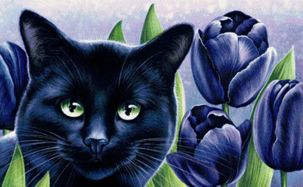 №1706951 - кошка, кот - предпросмотр