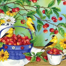 Схема вышивки «в саду»