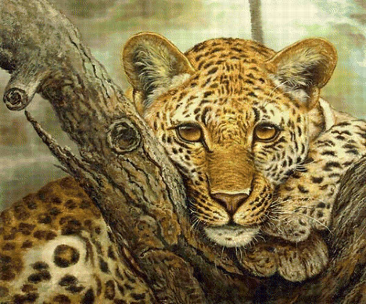 №1707104 - предпросмотр