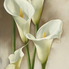 Схема вышивки «Калла»