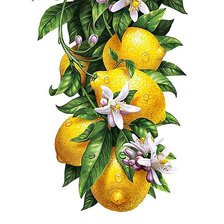 Оригинал схемы вышивки «лимоны» (№1707354)