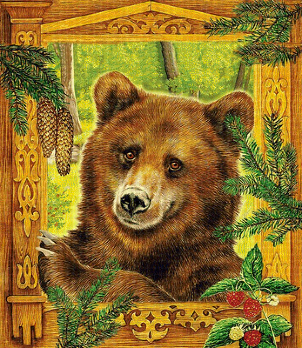 взгляд медведя - природа, животные, пейзаж - предпросмотр