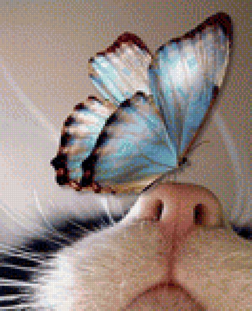 Май на носу - бабочка, чудо, кот - предпросмотр