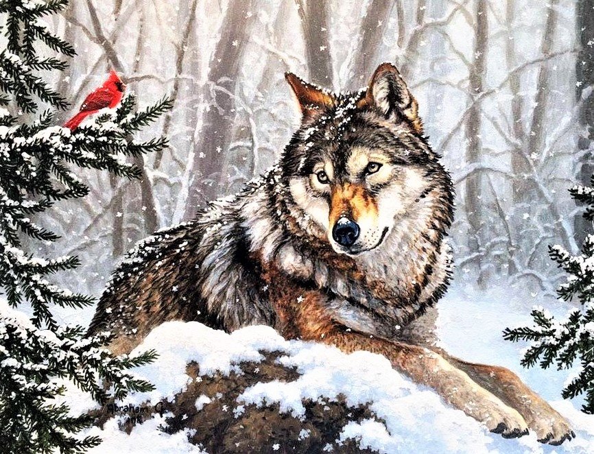 волк - зима, живопись, животные - оригинал