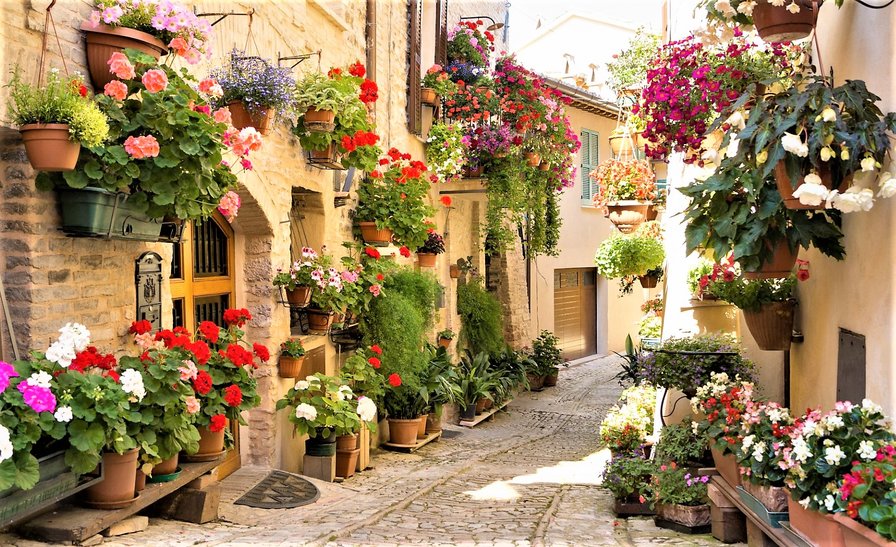 улочка с цветами - пейзаж, город, цветы, фото - оригинал