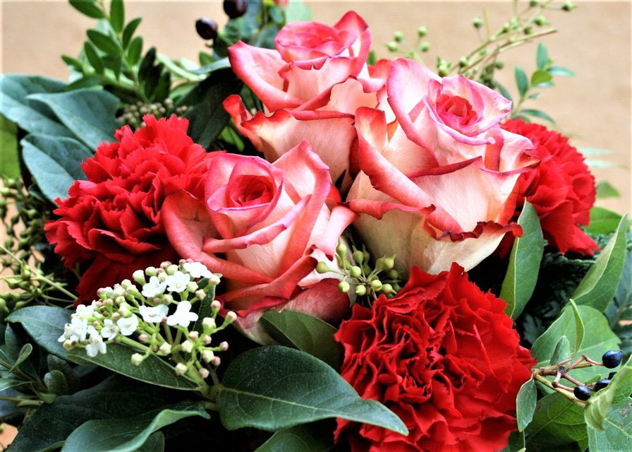 цветы - цветы, фото - оригинал