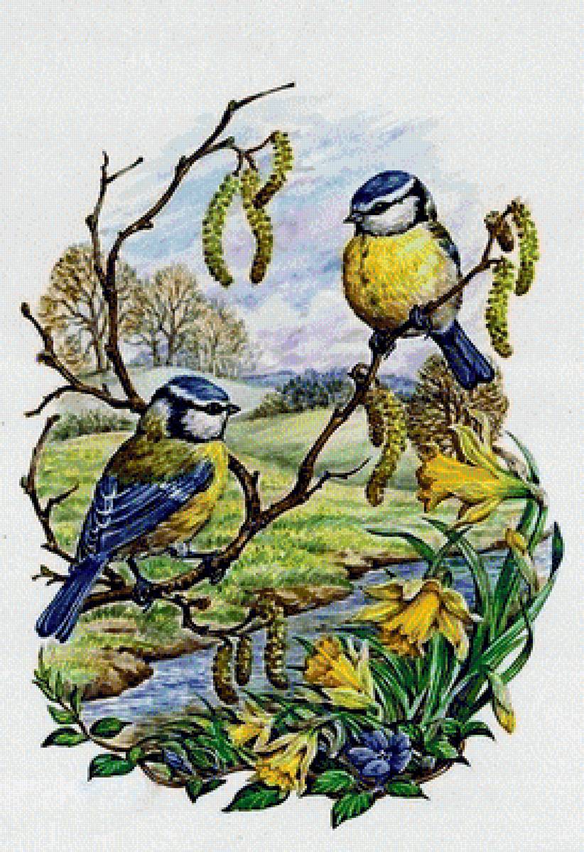 птицы - предпросмотр