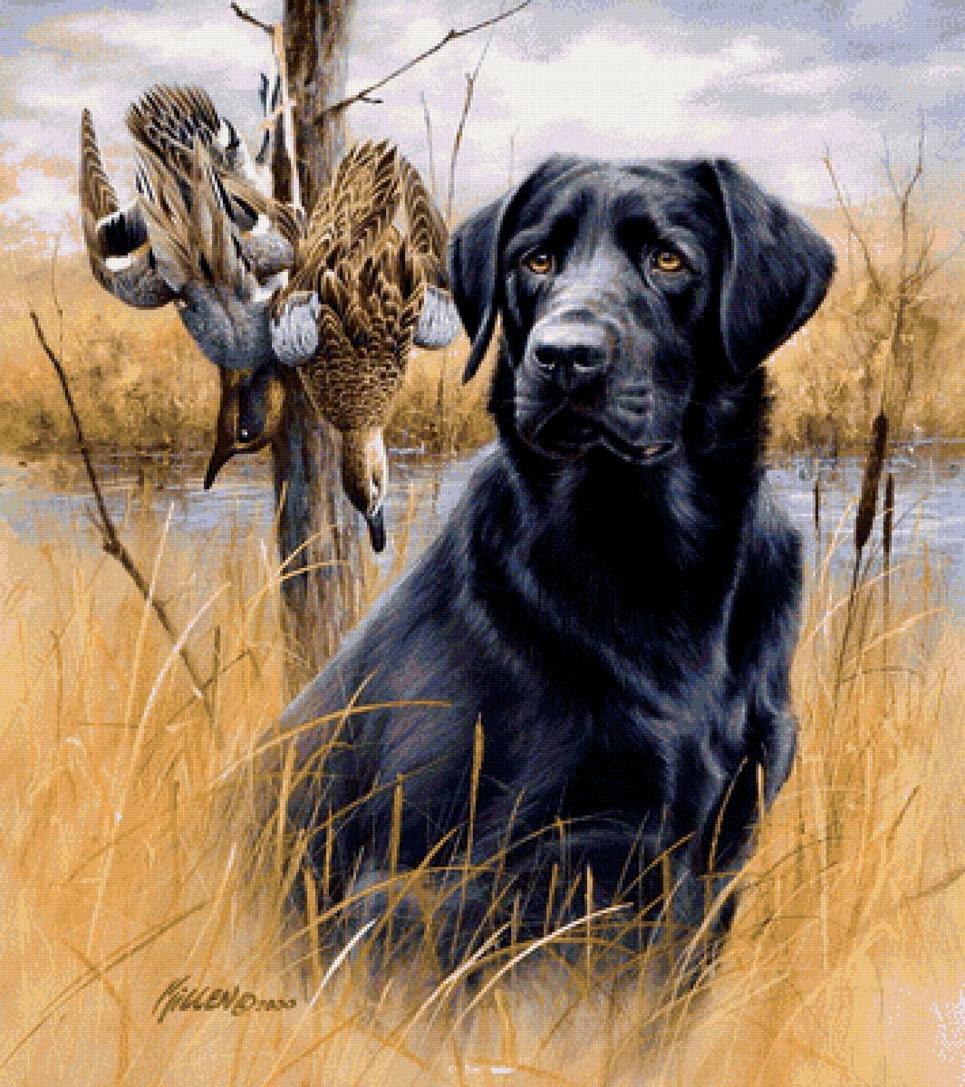 №1707784 - собака - предпросмотр