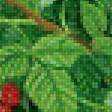 Предпросмотр схемы вышивки «по ягоды» (№1707887)