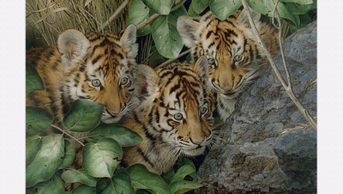 Тигрята - звери, животные - предпросмотр
