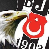 Схема вышивки «бешикташ»