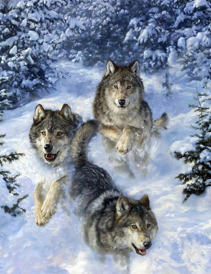 3 волка - оригинал