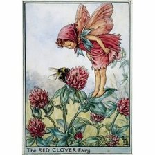 Схема вышивки «фея клевера»