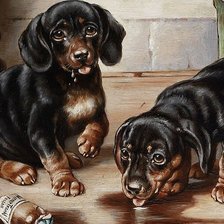 Схема вышивки «№1708238»