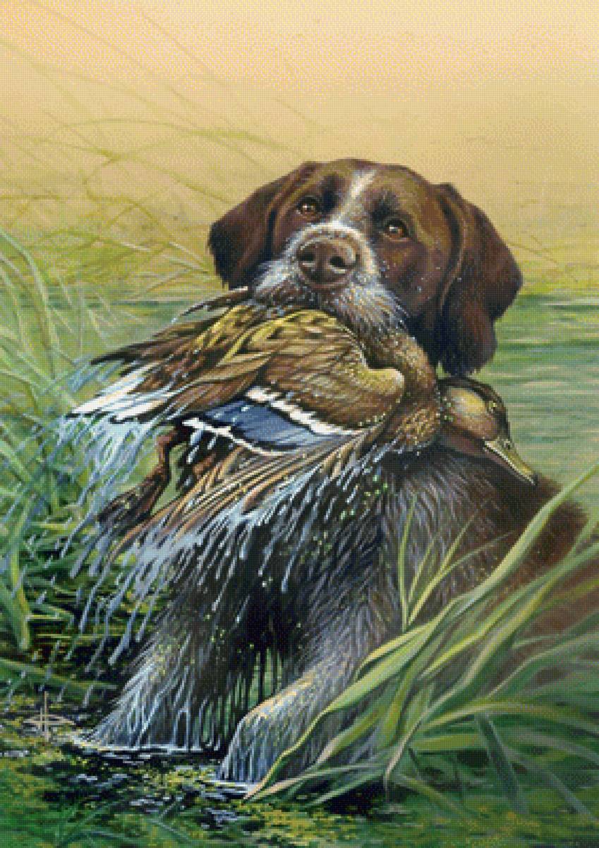 №1708623 - охота - предпросмотр