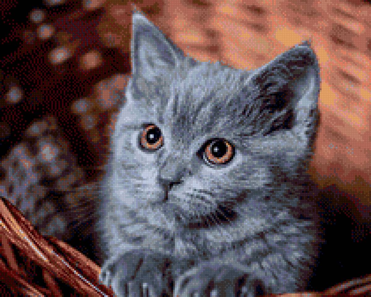 котенок - животные - предпросмотр