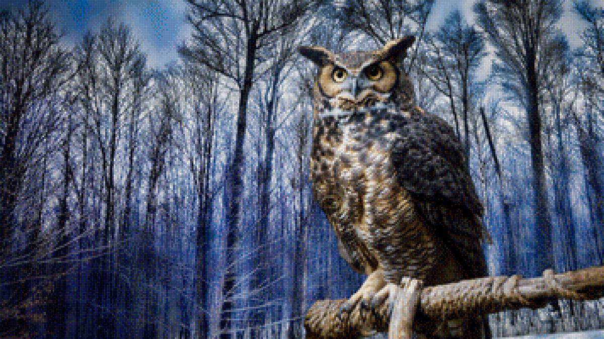 зимний лес - совы - предпросмотр