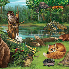 Схема вышивки «природа»