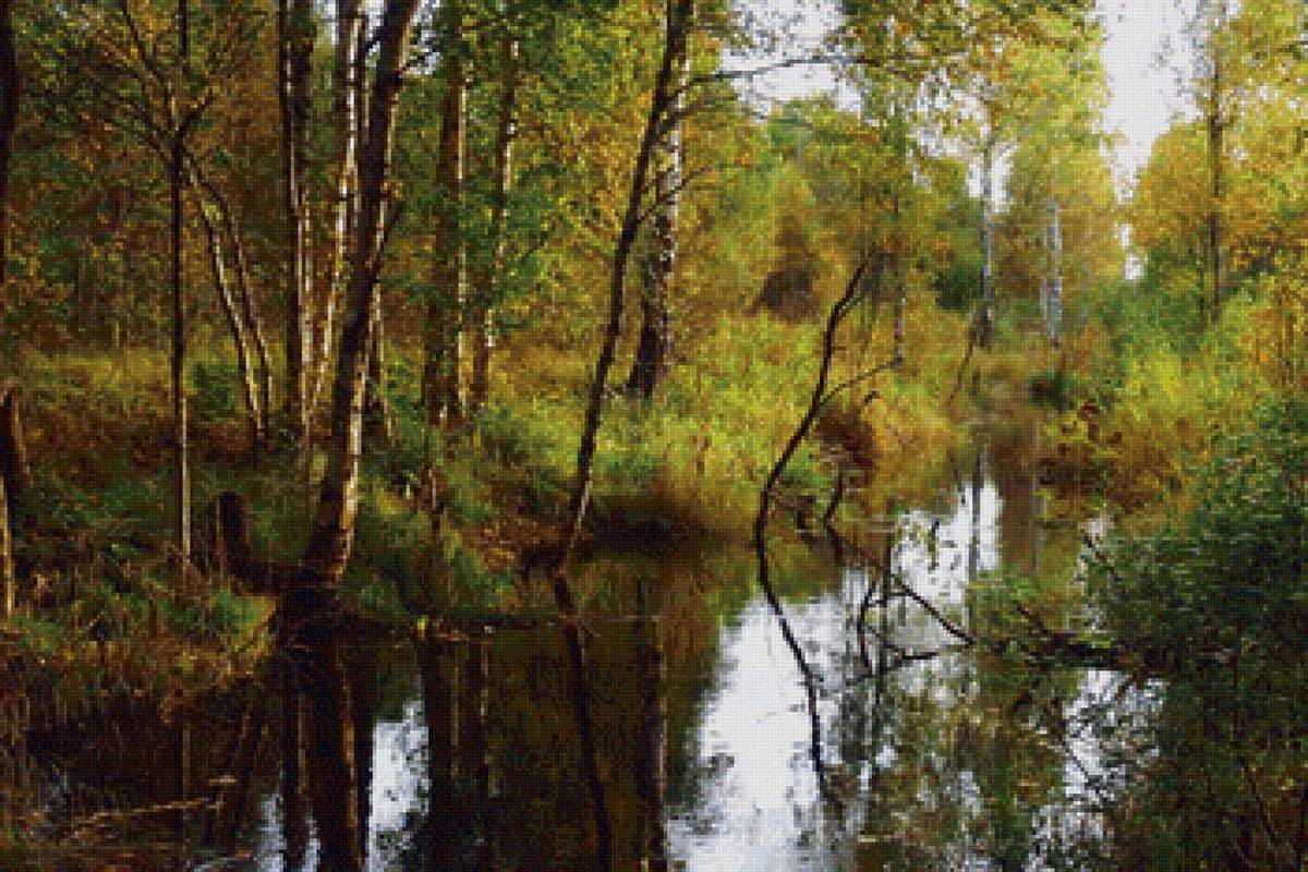 лето в лесу - лето, лес, вода - предпросмотр