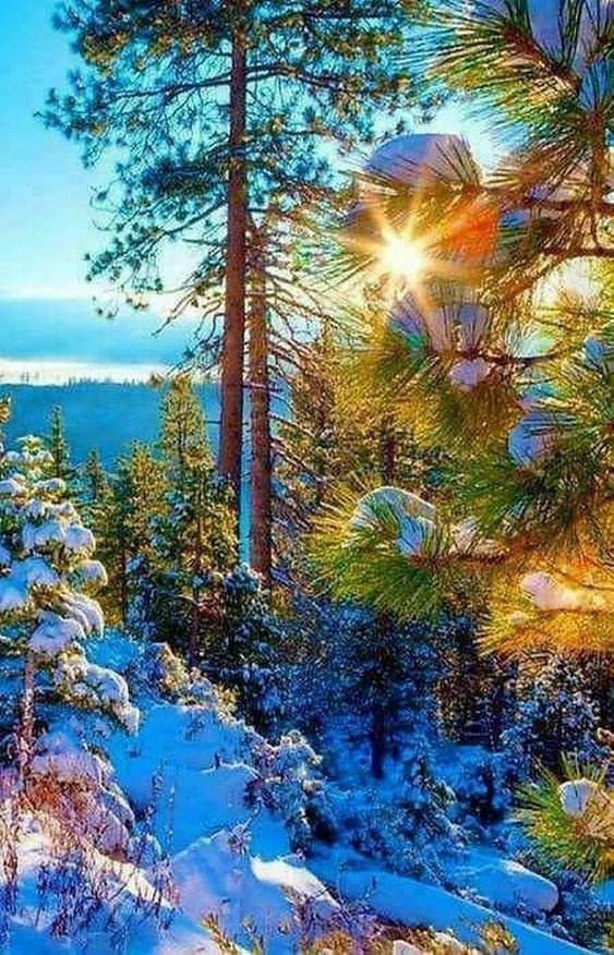 зимний пейзаж - снег, зима, гора - оригинал