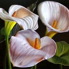 Схема вышивки «№1709809»