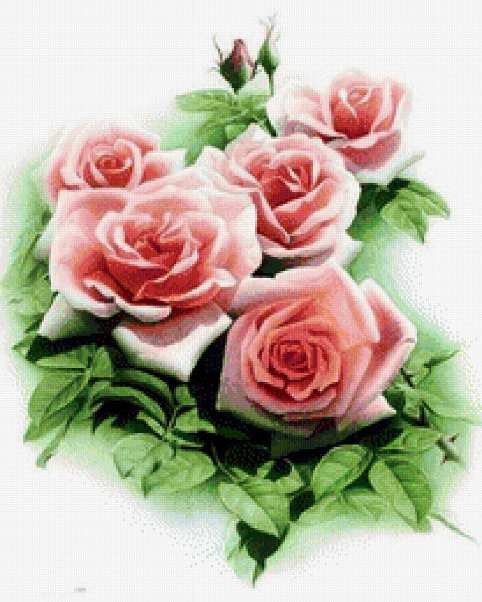 розы - букет, цветы, розы - предпросмотр