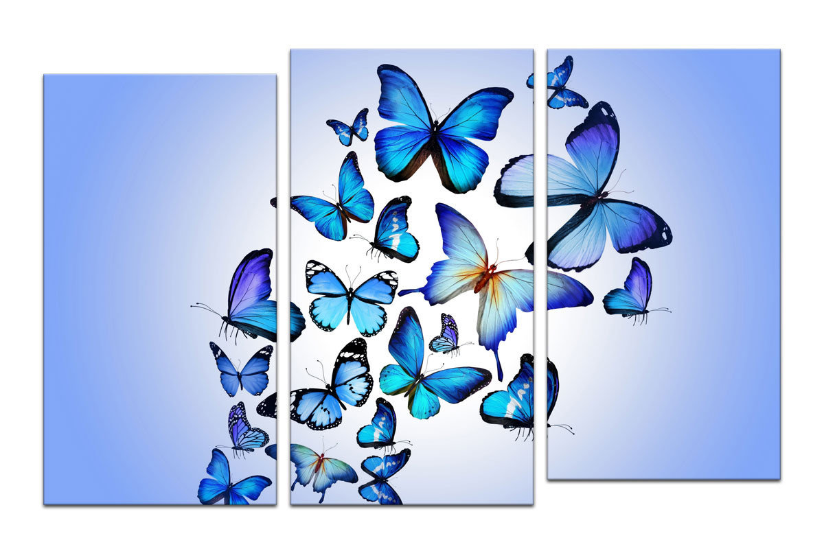 бабочки - красиво, синий, бабочки - оригинал
