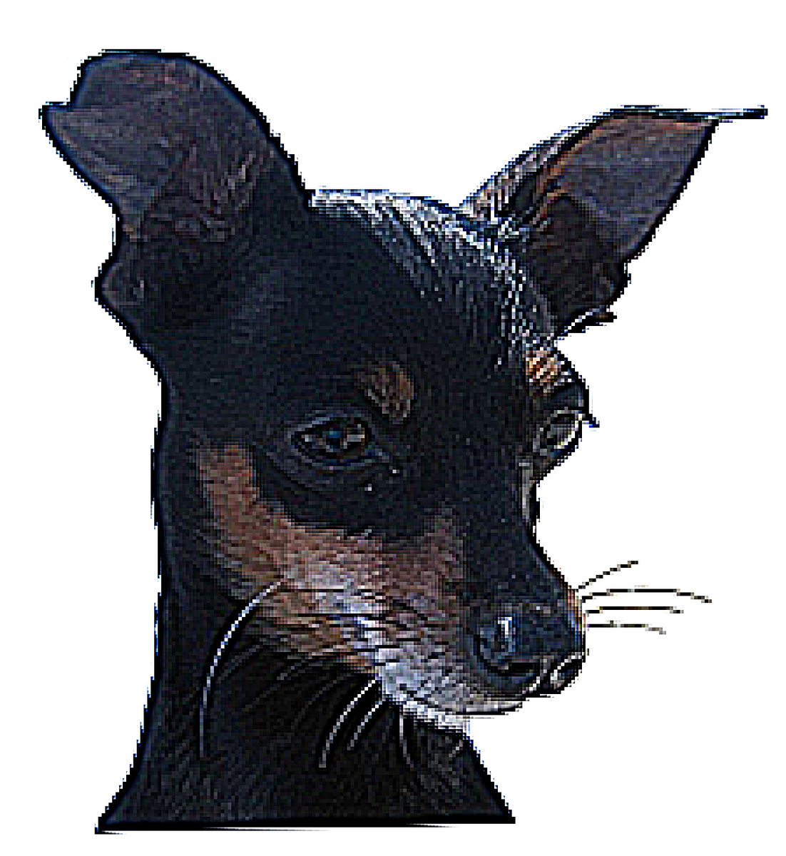 Той терьер4 - той терьер4 - оригинал