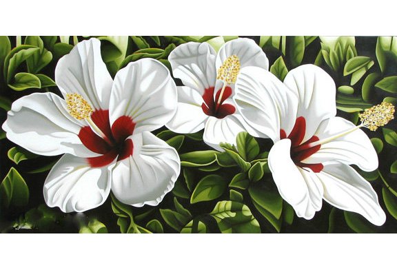 Белые цветы - цветы - оригинал