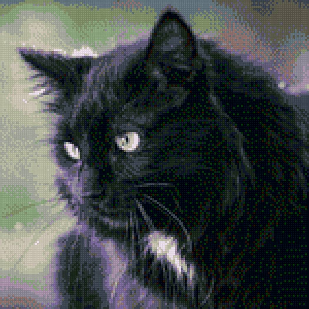 Черная кошка - кошки, домашние животные - предпросмотр