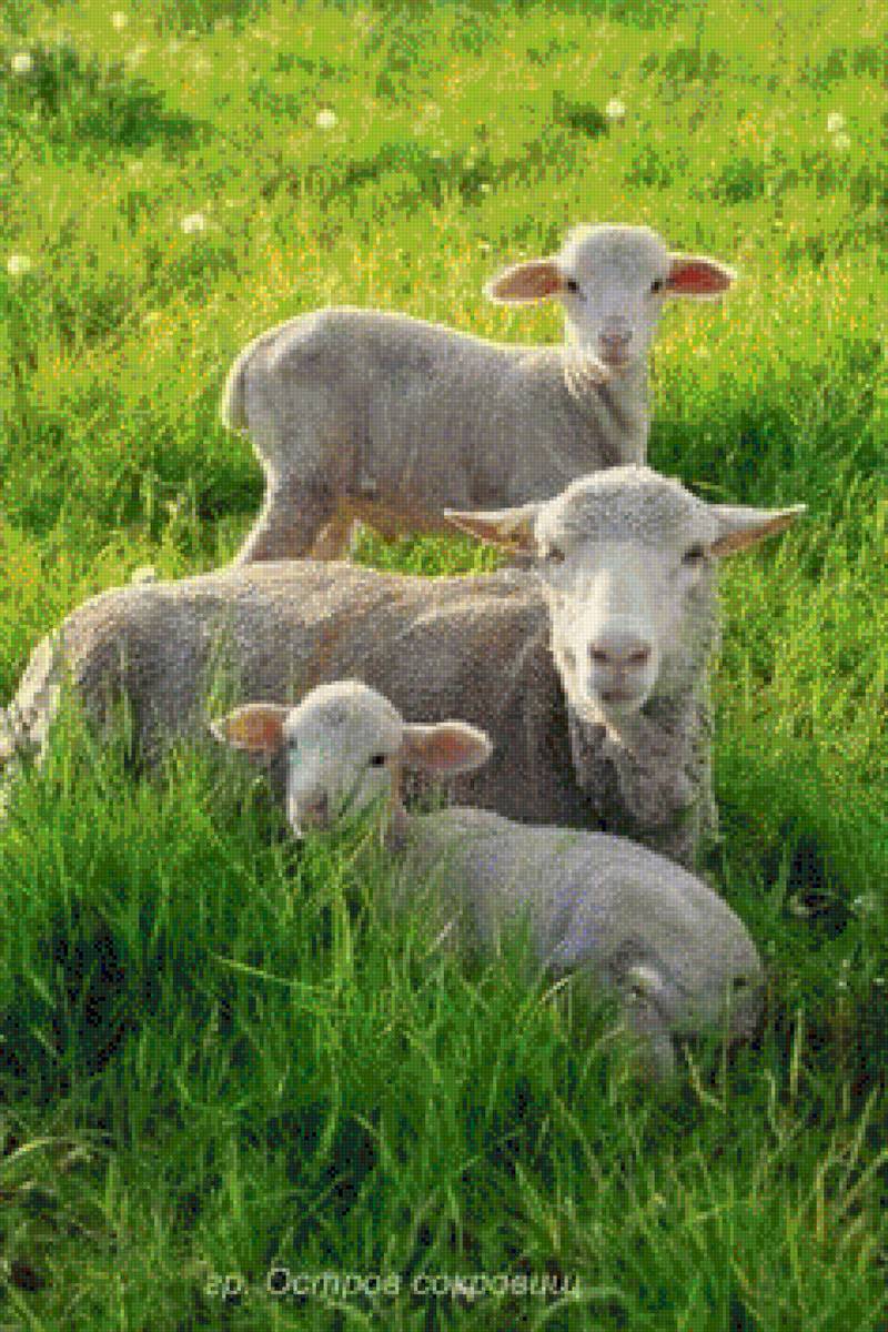 №1711017 - предпросмотр