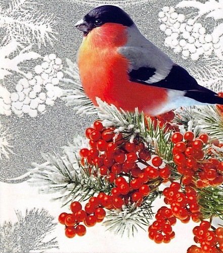 №1711427 - птица, снегирь - оригинал